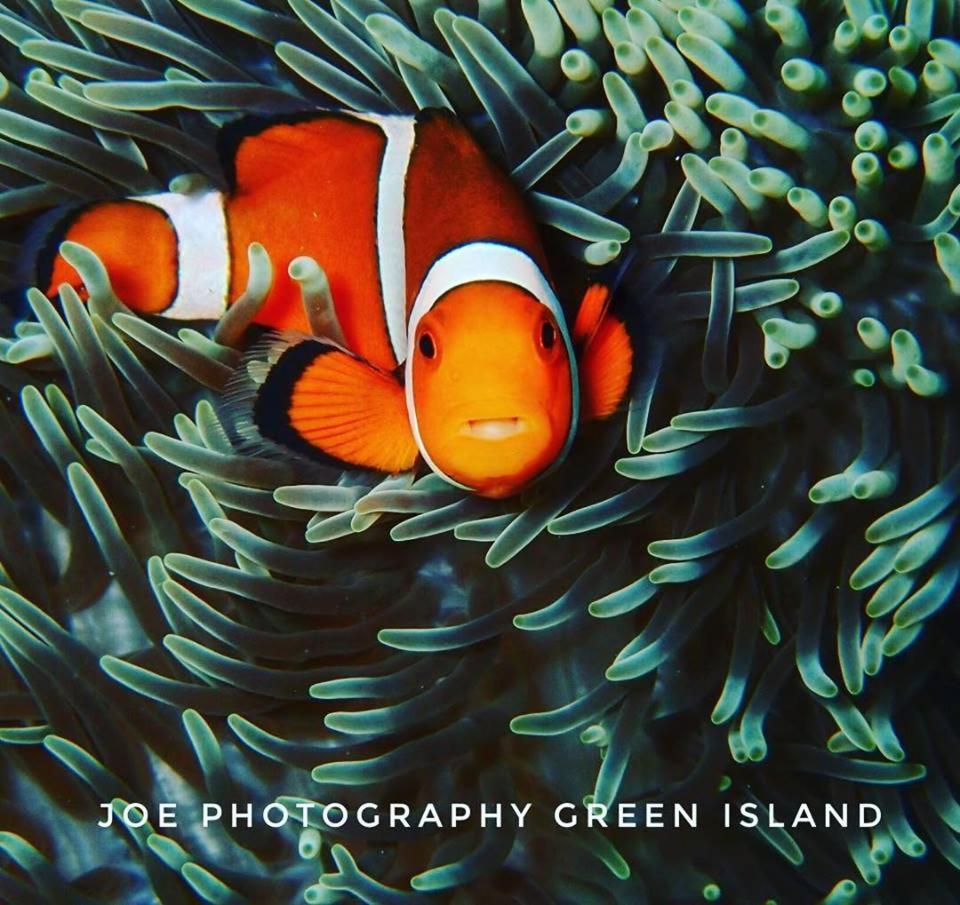 Fire Island Guest House 緑島郷 エクステリア 写真